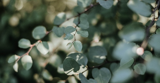 Pre-Participation Discovery Call